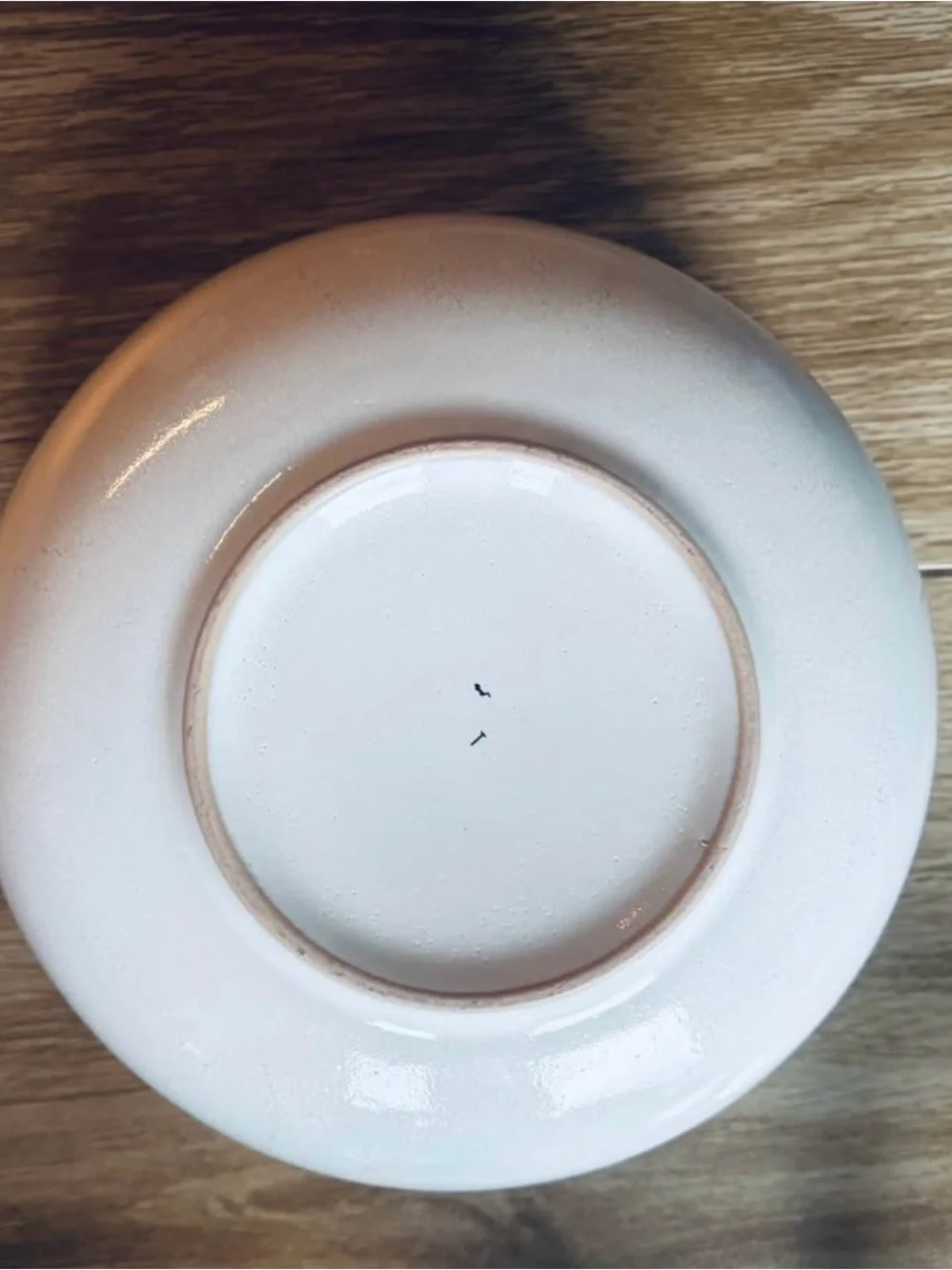 Neutral Gradient Ceramic Bowl - White Glazed